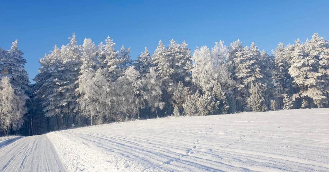 Ostoja Bukowo 12,2 Chata U Szoltesa Borowy Mlyn Dış mekan fotoğraf